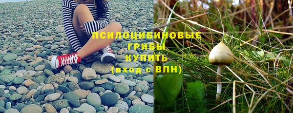 мескалин Нягань