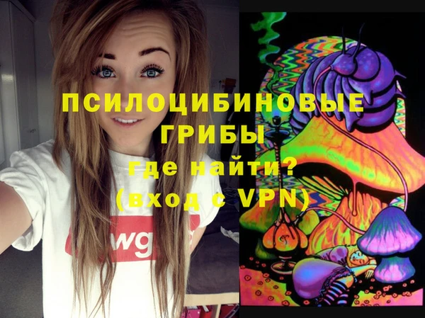 PSILOCYBIN Няндома