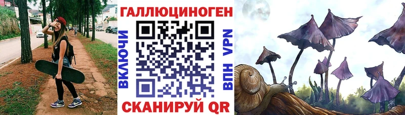 Галлюциногенные грибы Psilocybine cubensis  Баксан 