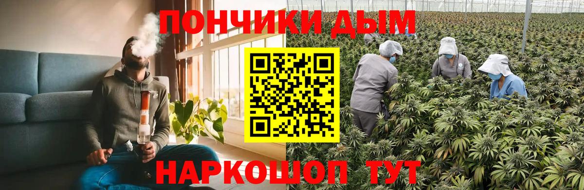 Канабис ГИДРОПОН Баксан